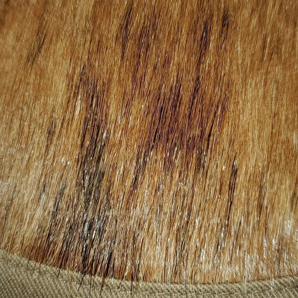 M&F Western Products Ladies Rhinestone Crosses Pony‎ Hair Fur Baseball Cap Hat